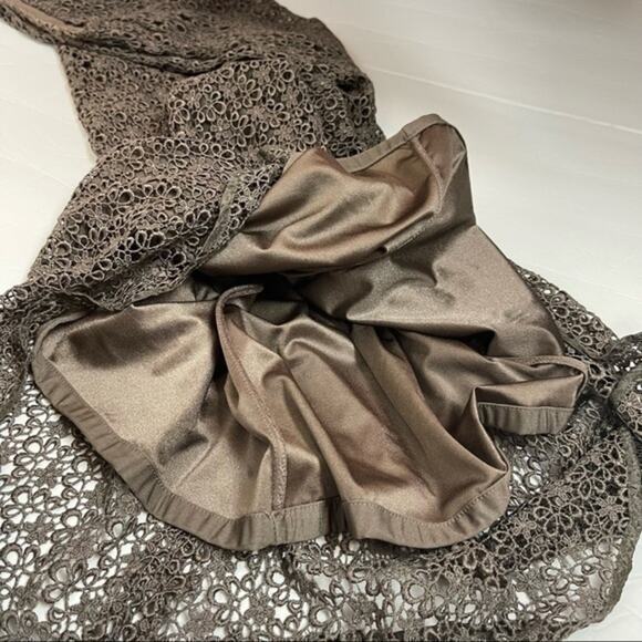 Isabel Ardee Taupe Sheer Floral Lace Fitted Cottage Feminine Dress Size 4 - Picture 7 of 12